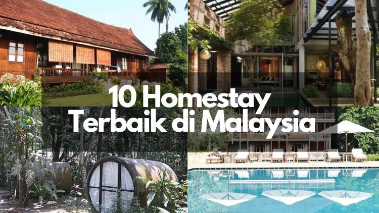 homestay terbaik